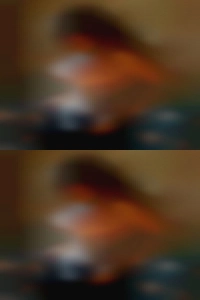 Whose girls fuck advances you turn down?